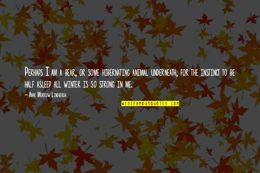 Erekle Meore Quotes By Anne Morrow Lindbergh: Perhaps I am a bear, or some hibernating Erekle Meore Quotes By Anne Morrow Lindbergh: Perhaps I am a bear, or some hibernating