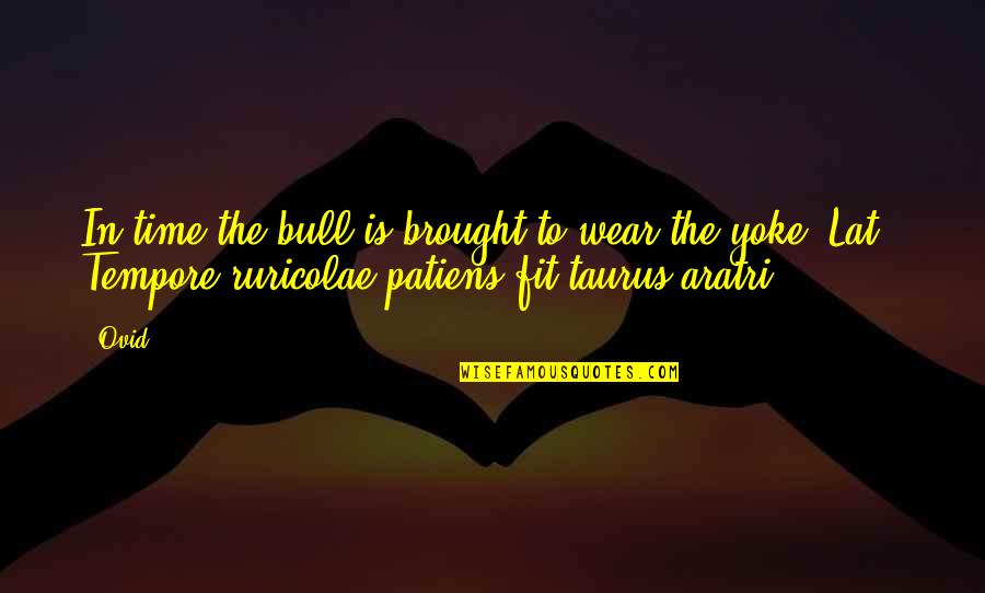 Eremiten Quotes By Ovid: In time the bull is brought to wear Eremiten Quotes By Ovid: In time the bull is brought to wear