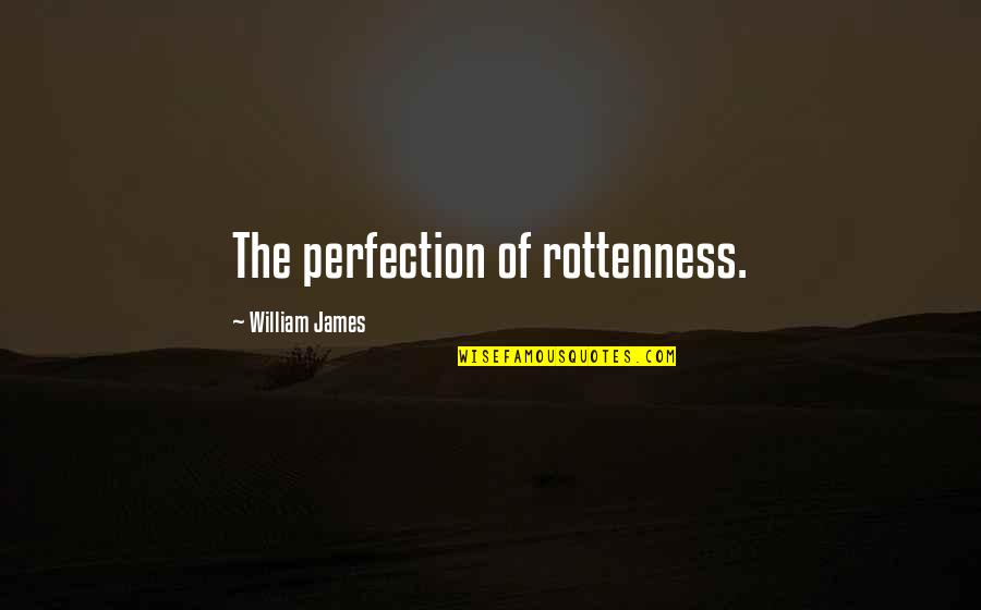 Erenggar Quotes By William James: The perfection of rottenness.