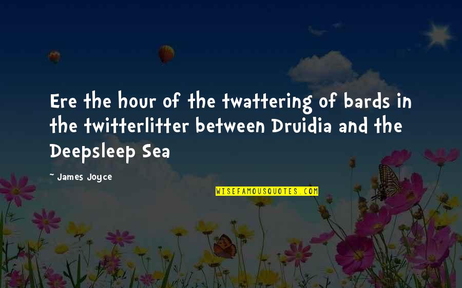 Ere's Quotes By James Joyce: Ere the hour of the twattering of bards