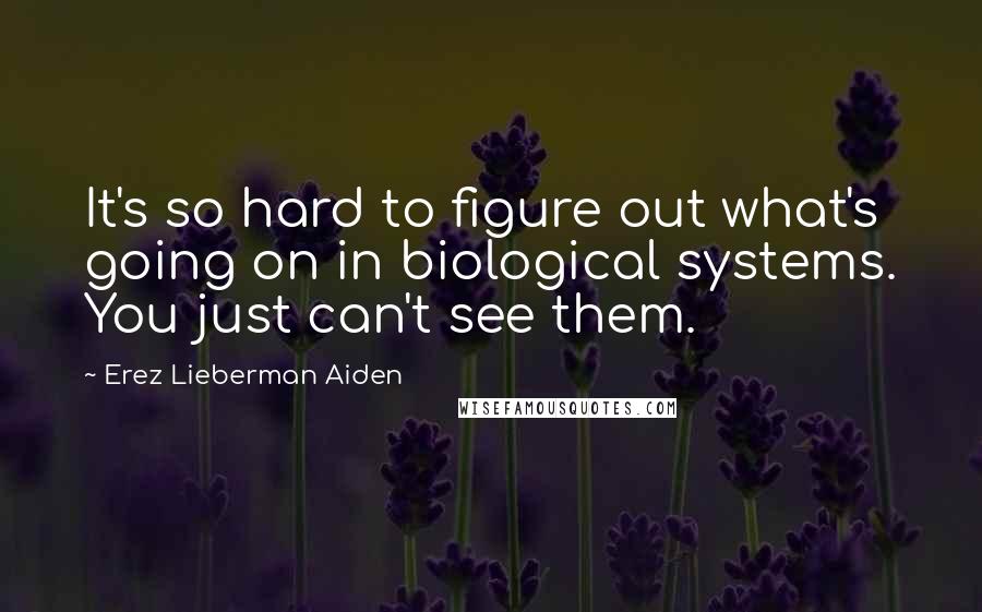 Erez Lieberman Aiden quotes: It's so hard to figure out what's going on in biological systems. You just can't see them.