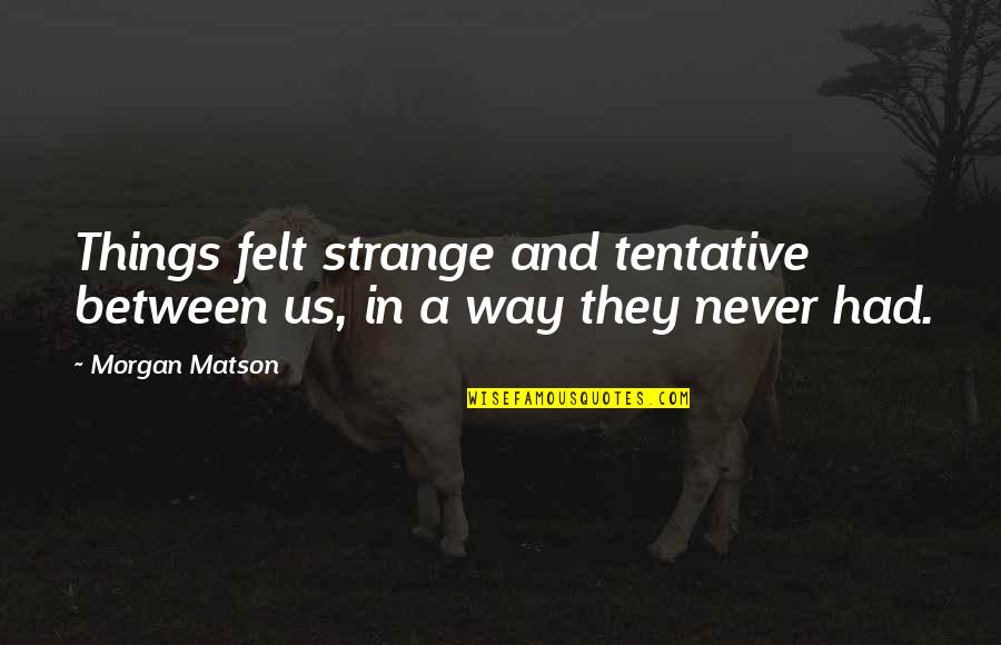 Erfahren Bedeutung Quotes By Morgan Matson: Things felt strange and tentative between us, in