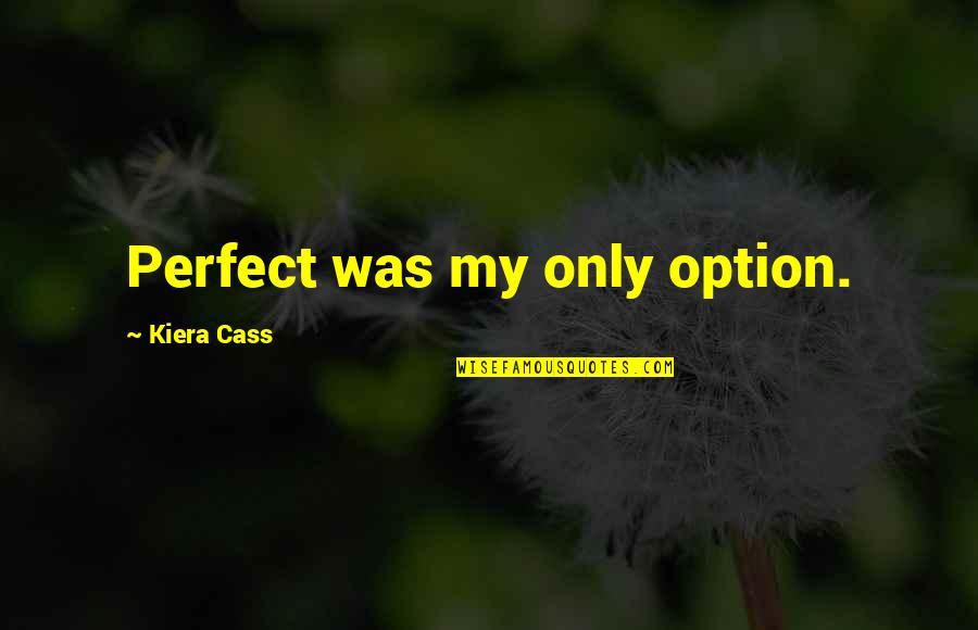 Ergan Quotes By Kiera Cass: Perfect was my only option. Ergan Quotes By Kiera Cass: Perfect was my only option.