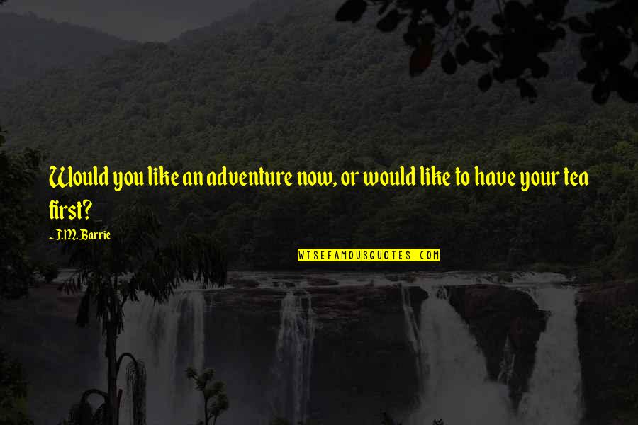 Ergashev Vs Fox Quotes By J.M. Barrie: Would you like an adventure now, or would