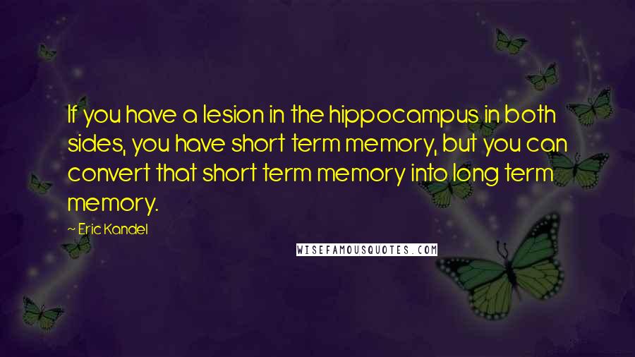 Eric Kandel quotes: If you have a lesion in the hippocampus in both sides, you have short term memory, but you can convert that short term memory into long term memory. Eric Kandel quotes: If you have a lesion in the hippocampus in both sides, you have short term memory, but you can convert that short term memory into long term memory.