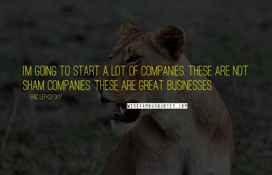 Eric Lefkofsky quotes: I'm going to start a lot of companies. These are not sham companies. These are great businesses.
