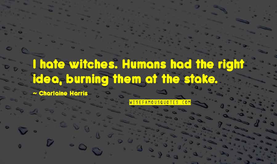 Eric Northman Funny Quotes By Charlaine Harris: I hate witches. Humans had the right idea, Eric Northman Funny Quotes By Charlaine Harris: I hate witches. Humans had the right idea,