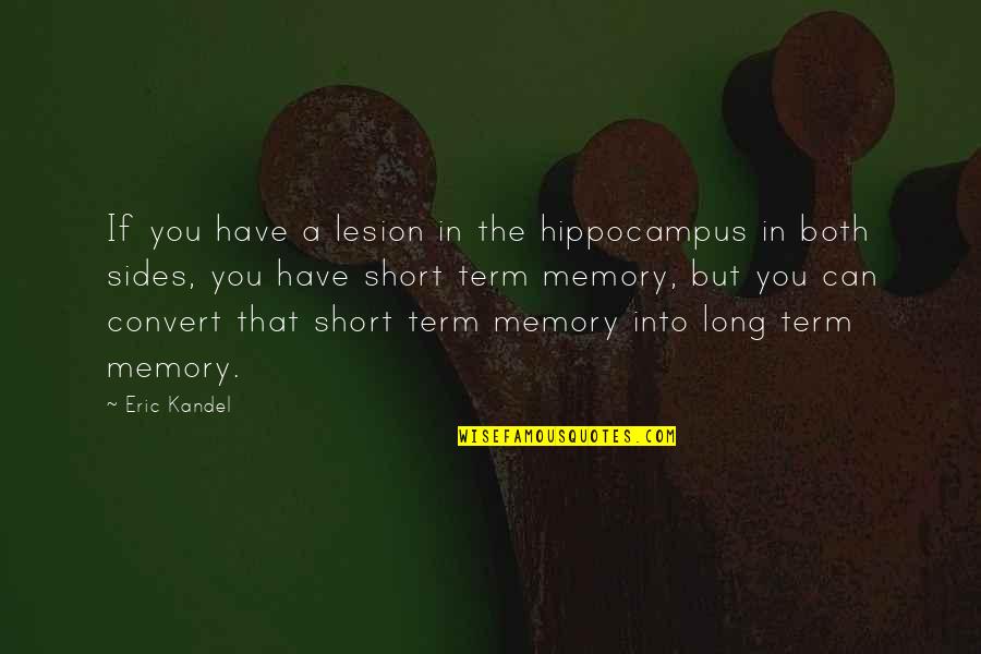 Eric R Kandel Quotes By Eric Kandel: If you have a lesion in the hippocampus
