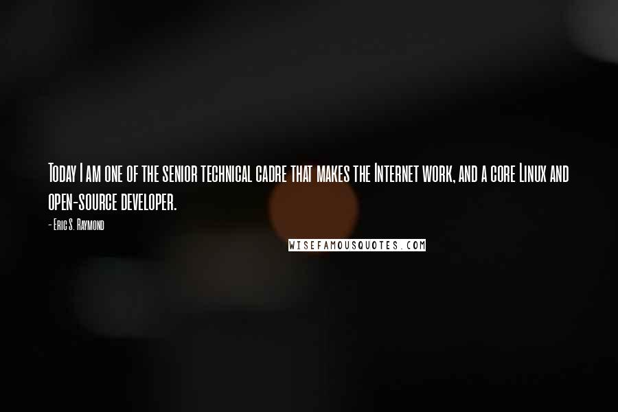 Eric S. Raymond quotes: Today I am one of the senior technical cadre that makes the Internet work, and a core Linux and open-source developer.