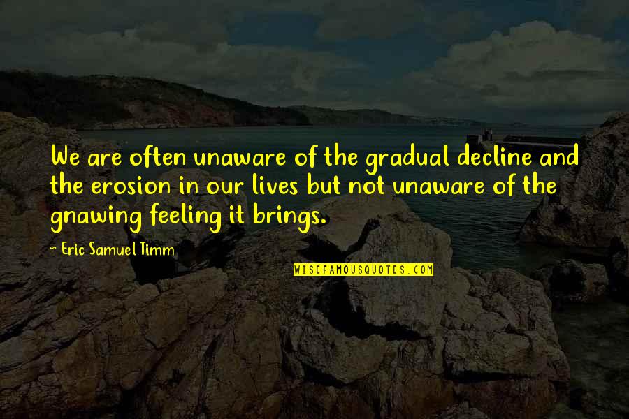 Eric Samuel Timm Quotes By Eric Samuel Timm: We are often unaware of the gradual decline