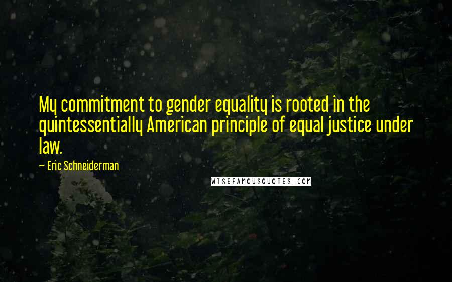 Eric Schneiderman quotes: My commitment to gender equality is rooted in the quintessentially American principle of equal justice under law.