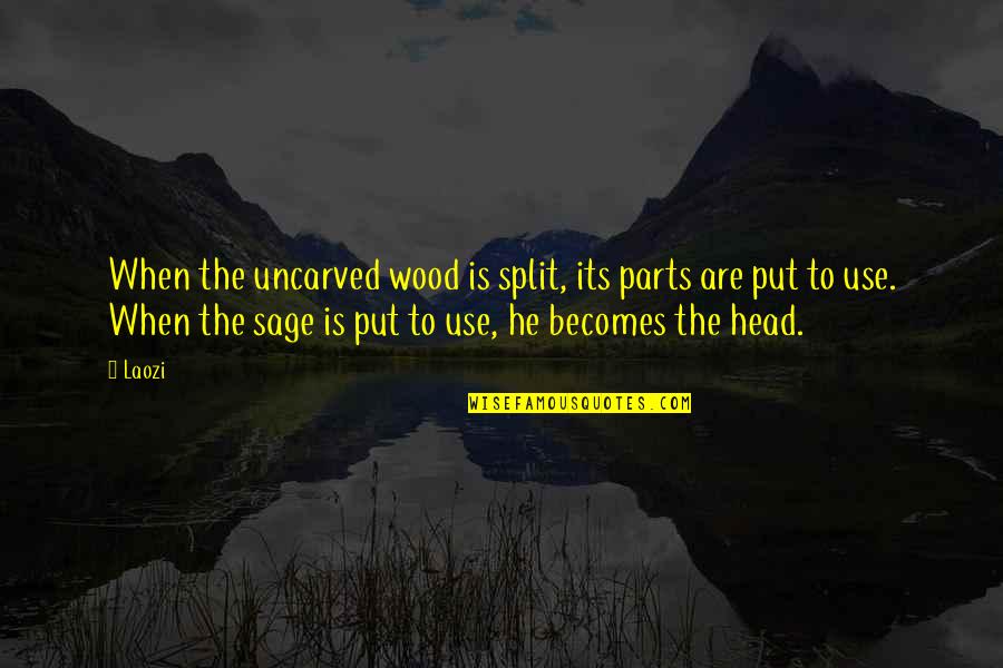 Eric Zemmour Quotes By Laozi: When the uncarved wood is split, its parts