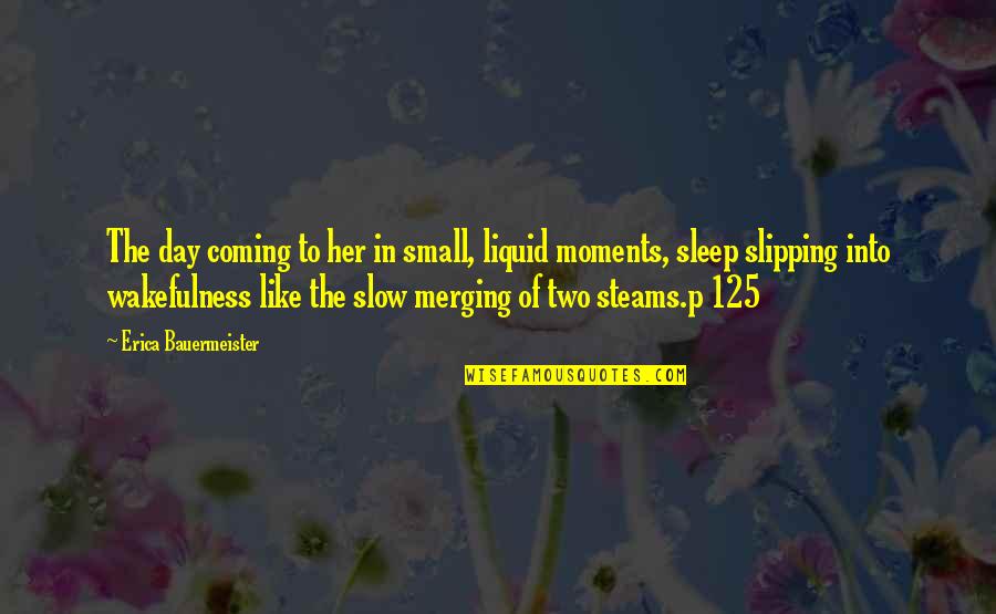 Erica Bauermeister Quotes By Erica Bauermeister: The day coming to her in small, liquid