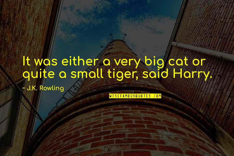 Erica Mann Jong Quotes By J.K. Rowling: It was either a very big cat or