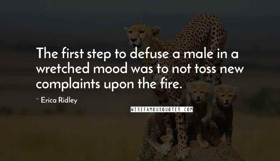 Erica Ridley quotes: The first step to defuse a male in a wretched mood was to not toss new complaints upon the fire.