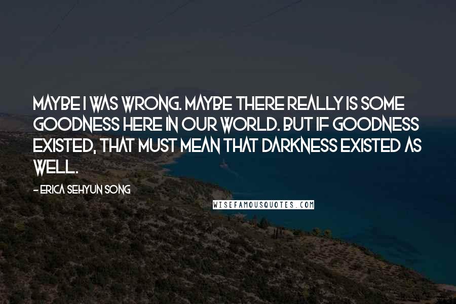 Erica Sehyun Song quotes: Maybe I was wrong. Maybe there really is some goodness here in our world. But if goodness existed, that must mean that darkness existed as well.