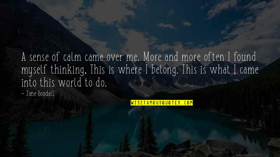 Ericanese Quotes By Jane Goodall: A sense of calm came over me. More