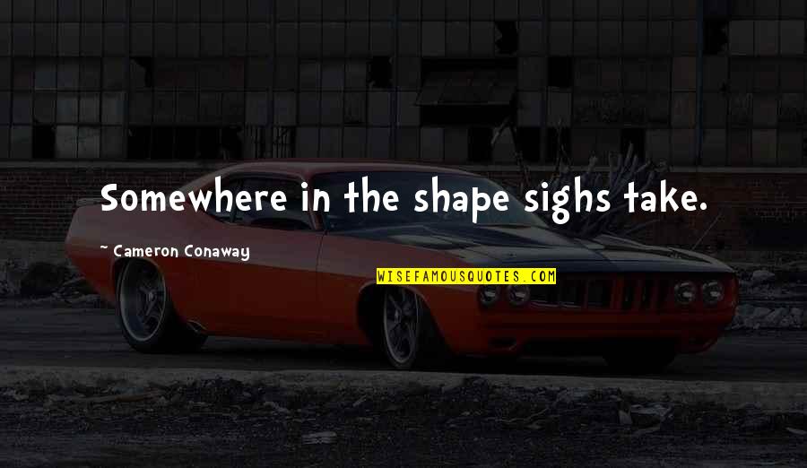 Erickson Hypnosis Quotes By Cameron Conaway: Somewhere in the shape sighs take.