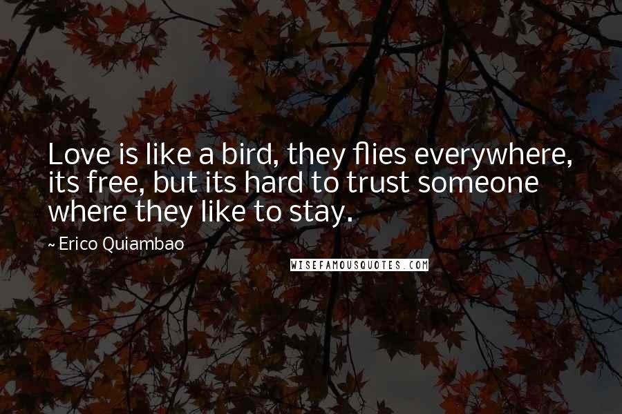 Erico Quiambao quotes: Love is like a bird, they flies everywhere, its free, but its hard to trust someone where they like to stay.