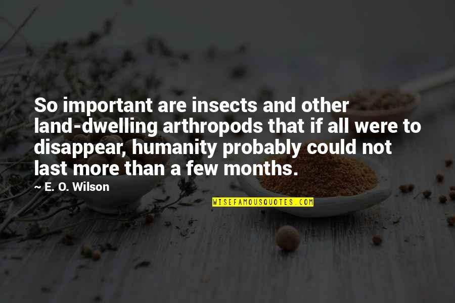 Erih Remark Quotes By E. O. Wilson: So important are insects and other land-dwelling arthropods