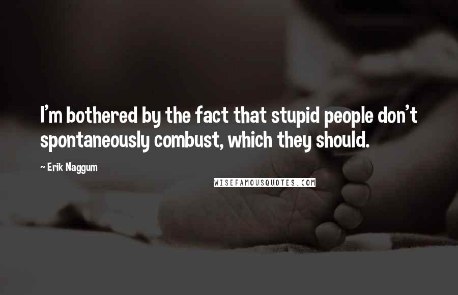 Erik Naggum quotes: I'm bothered by the fact that stupid people don't spontaneously combust, which they should.