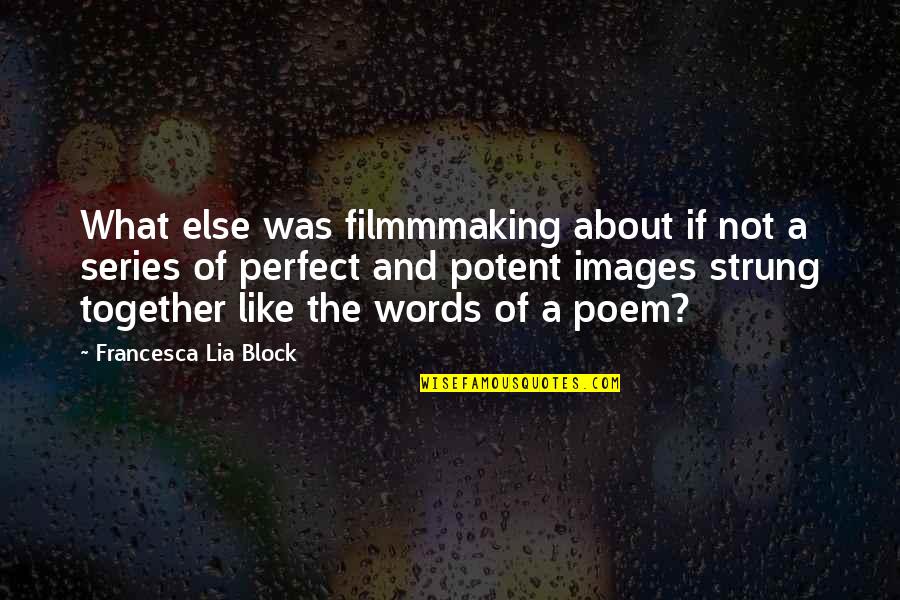 Erika Lopez Quotes By Francesca Lia Block: What else was filmmmaking about if not a
