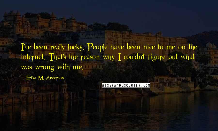 Erika M. Anderson quotes: I've been really lucky. People have been nice to me on the internet. That's the reason why I couldn't figure out what was wrong with me.