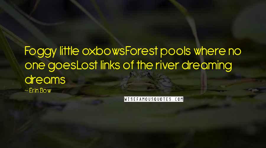 Erin Bow quotes: Foggy little oxbowsForest pools where no one goesLost links of the river dreaming dreams