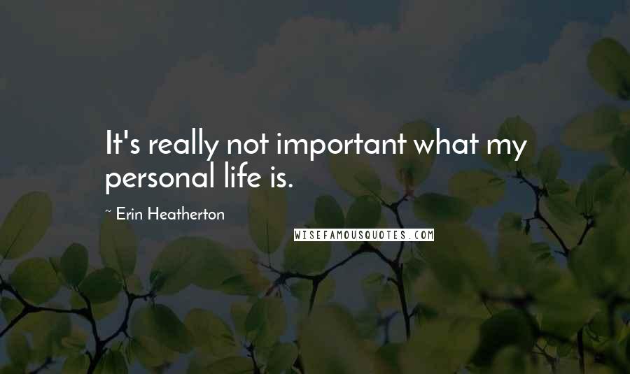 Erin Heatherton quotes: It's really not important what my personal life is.