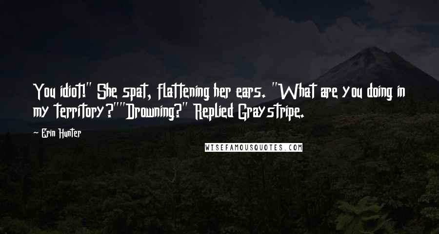 Erin Hunter quotes: You idiot!" She spat, flattening her ears. "What are you doing in my territory?""Drowning?" Replied Graystripe.