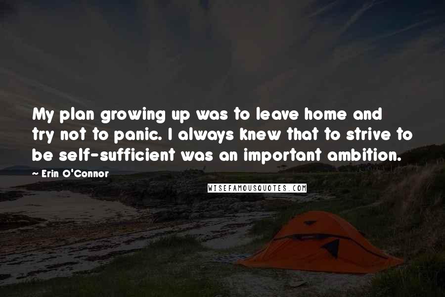 Erin O'Connor quotes: My plan growing up was to leave home and try not to panic. I always knew that to strive to be self-sufficient was an important ambition.