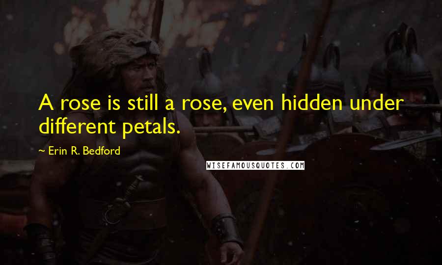 Erin R. Bedford quotes: A rose is still a rose, even hidden under different petals.