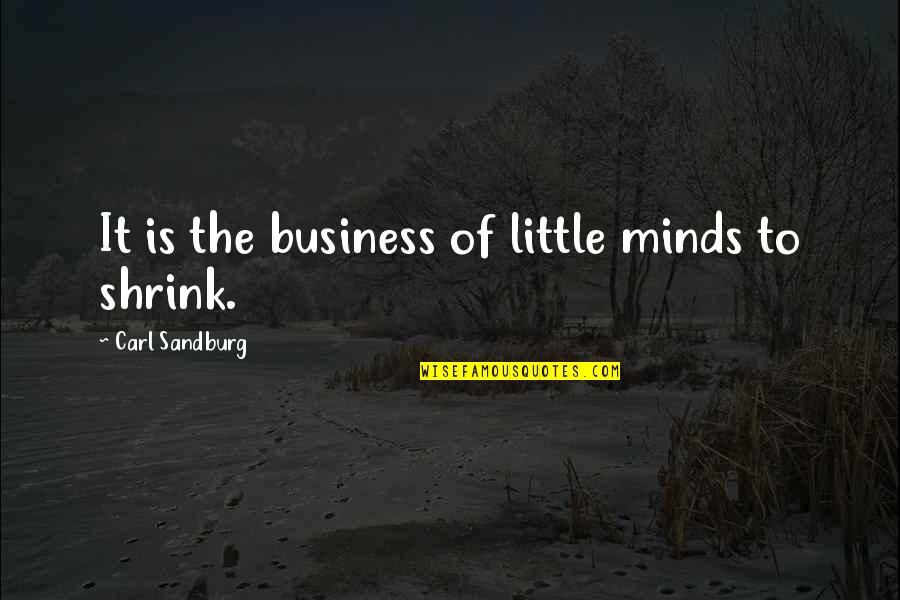 Erin Silver Best Quotes By Carl Sandburg: It is the business of little minds to