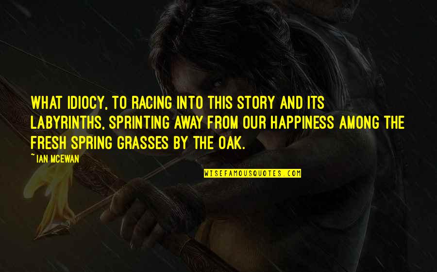 Erizada Significado Quotes By Ian McEwan: What idiocy, to racing into this story and Erizada Significado Quotes By Ian McEwan: What idiocy, to racing into this story and