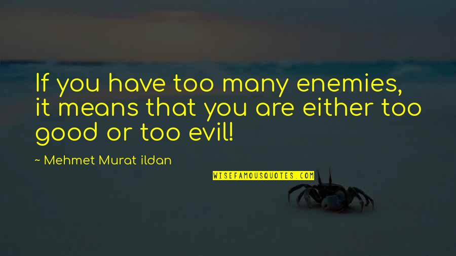 Erlebst Quotes By Mehmet Murat Ildan: If you have too many enemies, it means