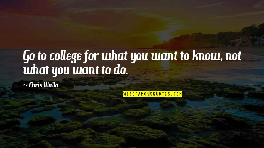 Erlernte Hilflosigkeit Quotes By Chris Walla: Go to college for what you want to