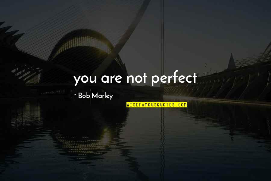 Ernest Bormann Quotes By Bob Marley: you are not perfect