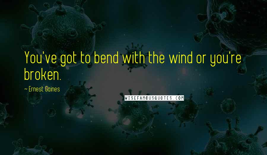 Ernest Gaines quotes: You've got to bend with the wind or you're broken.