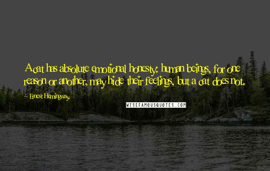 Ernest Hemingway, quotes: A cat has absolute emotional honesty: human beings, for one reason or another, may hide their feelings, but a cat does not.