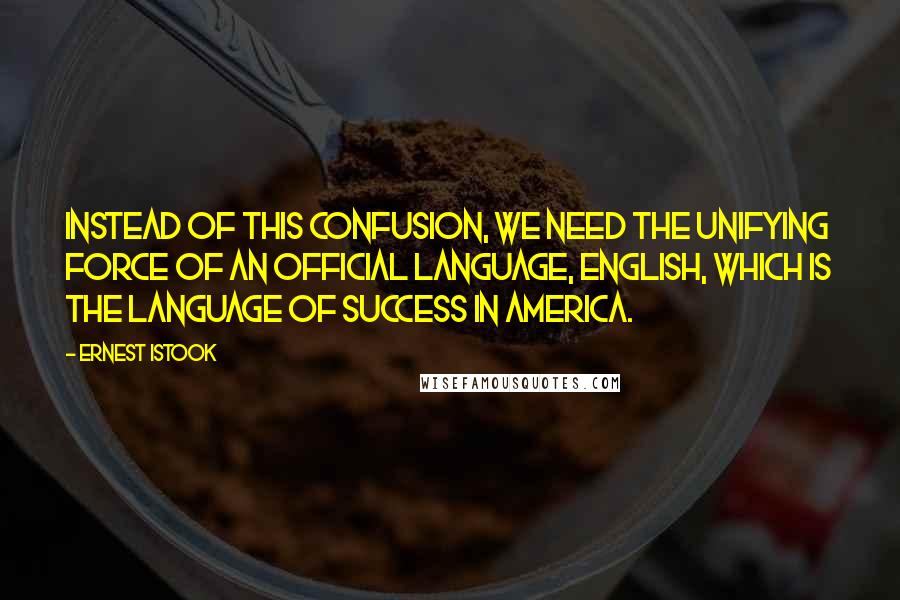 Ernest Istook quotes: Instead of this confusion, we need the unifying force of an official language, English, which is the language of success in America.