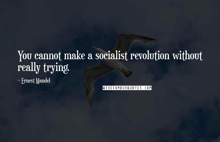 Ernest Mandel quotes: You cannot make a socialist revolution without really trying.