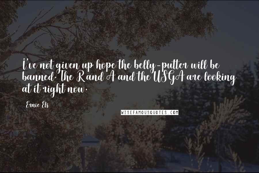 Ernie Els quotes: I've not given up hope the belly-putter will be banned. The R and A and the USGA are looking at it right now.