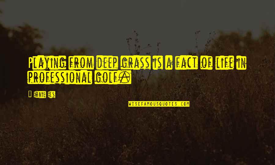 Ernie Els Quotes By Ernie Els: Playing from deep grass is a fact of