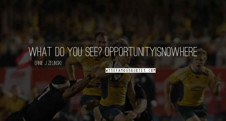 Ernie J Zelinski quotes: What do you see? OPPORTUNITYISNOWHERE