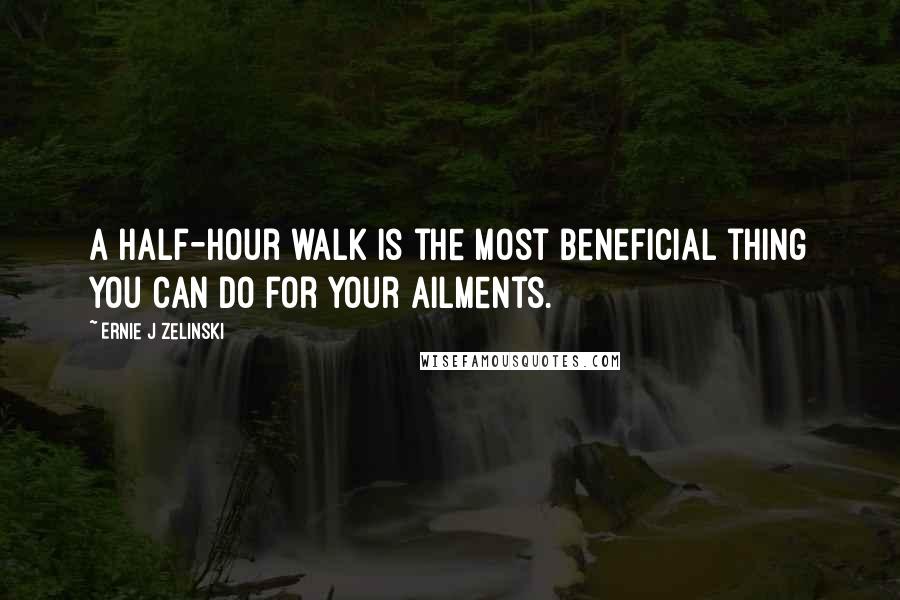 Ernie J Zelinski quotes: A half-hour walk is the most beneficial thing you can do for your ailments.
