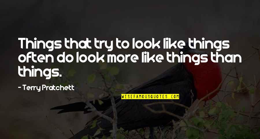 Ernst Ising Quotes By Terry Pratchett: Things that try to look like things often