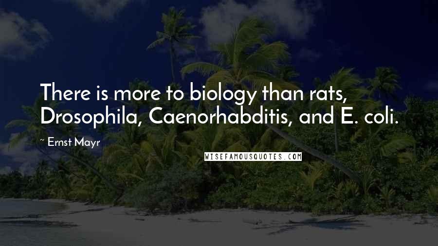 Ernst Mayr quotes: There is more to biology than rats, Drosophila, Caenorhabditis, and E. coli.