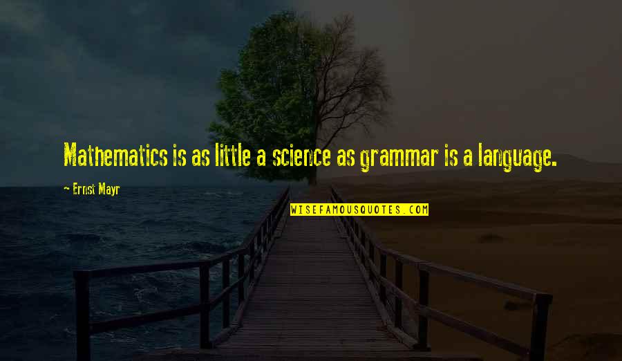 Ernst Mayr Quotes By Ernst Mayr: Mathematics is as little a science as grammar