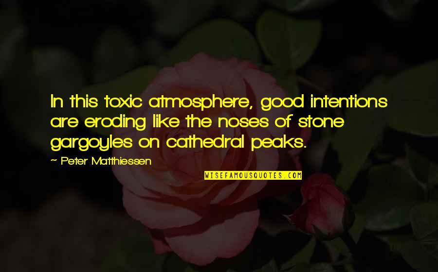 Eroding Quotes By Peter Matthiessen: In this toxic atmosphere, good intentions are eroding Eroding Quotes By Peter Matthiessen: In this toxic atmosphere, good intentions are eroding