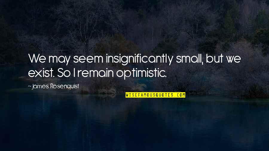 Erotica Quotes Quotes By James Rosenquist: We may seem insignificantly small, but we exist. Erotica Quotes Quotes By James Rosenquist: We may seem insignificantly small, but we exist.
